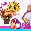 قالب میوه پاپ شف Pop Chef