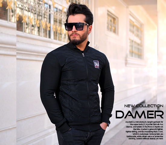 کاپشن مردانه مدل Damer - Image 2