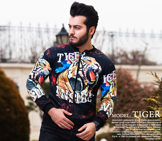 سویشرت مردانه مدل Tiger - Image 2