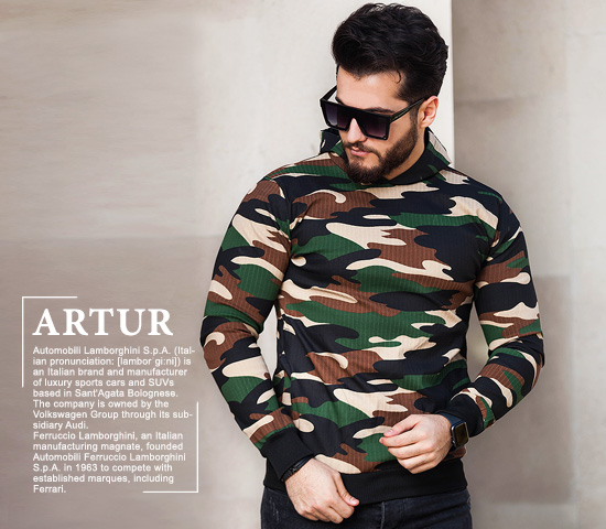 سویشرت مردانه مدل Artur - Image 2