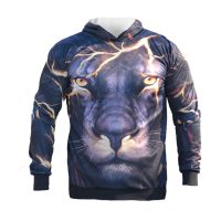 سویشرت مردانه  Lion