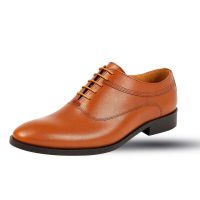 کفش مجلسی مردانه مدل Victor ( عسلی ) کد 6424