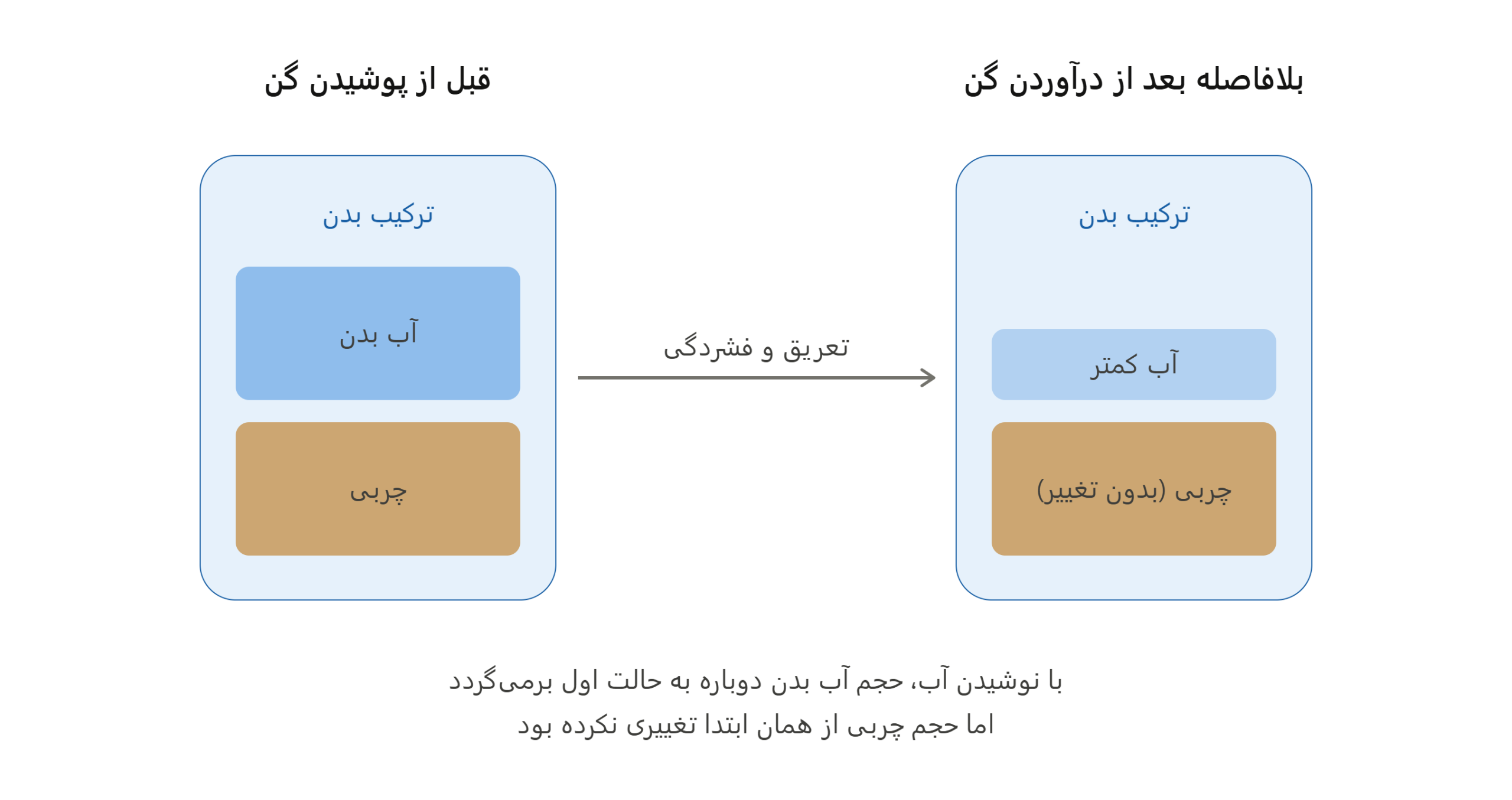 تفاوت کاهش آب بدن و چربی هنگام استفاده از گن لاغری