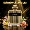 20260514063403149-thumbnail.webp