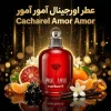 20260523223801956-thumbnail.webp