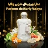 20260524020436742-thumbnail.webp