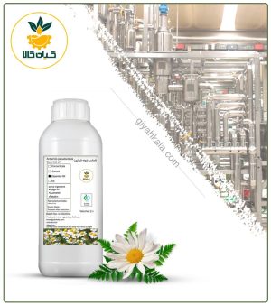 اسانس بابونه شیرازی طبیعی