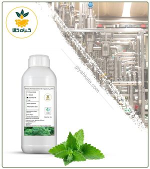 اسانس بادرنجبویه طبیعی