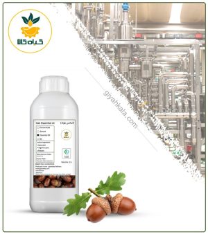 اسانس بلوط طبیعی
