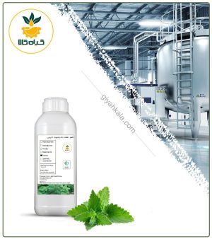 طعم دهنده بادرنجبویه دارویی