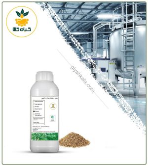 طعم دهنده زنیان دارویی