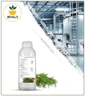 طعم دهنده شوید دارویی