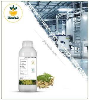 طعم دهنده رازیانه دارویی