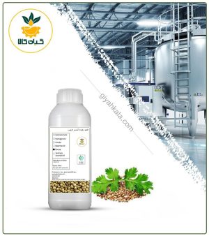 طعم دهنده گشنیز دارویی
