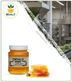 عسل ارگانیک (500 گرمی)