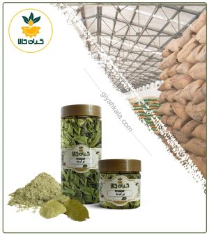 برگ به خشک یا پودری بسته بندی