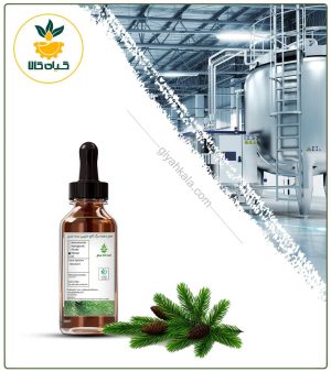 طعم دهنده برگ کاج دارویی بسته بندی