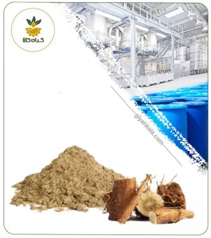 عصاره ریشه کاسنی خشک یا پودری