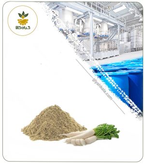 عصاره شقاقل خشک یا پودری