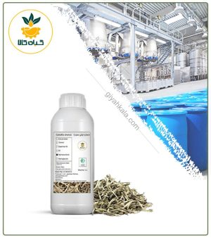 عصاره چای سفید مایع