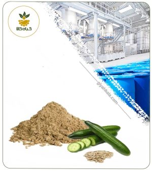 عصاره تخم خیار خشک یا پودری