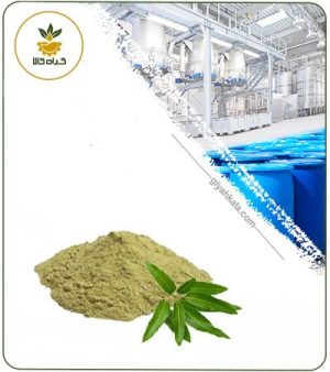 عصاره برگ انبه خشک یا پودری