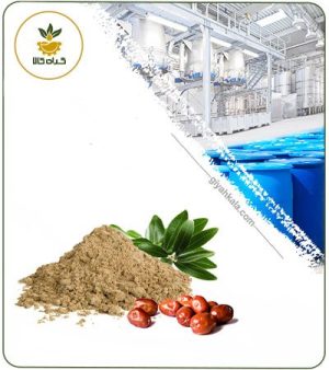 عصاره برگ سنجد خشک یا پودری