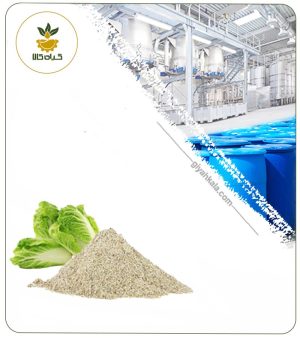 عصاره کاهو خشک یا پودری