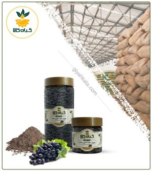 مویز سیاه (بدون دانه) خشک یا پودری بسته بندی