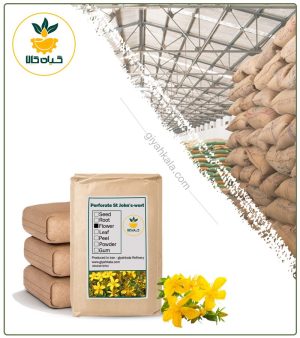 گیاه گل راعی فله