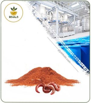 عصاره خراطین خشک (پودری)