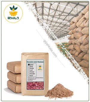 پودر بذر خیار چنبر فله