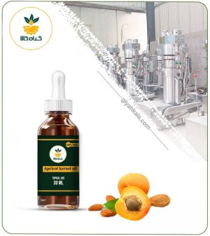 روغن هسته زردآلو موضعی