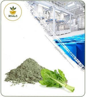 عصاره برگ چغندر خشک یا پودری