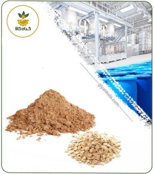 عصاره جو پرک خشک یا پودری