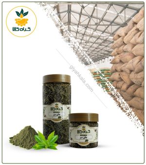 چای سبز خشک یا پودری بسته بندی