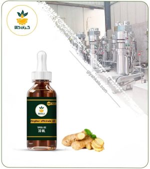 روغن زنجبیل موضعی