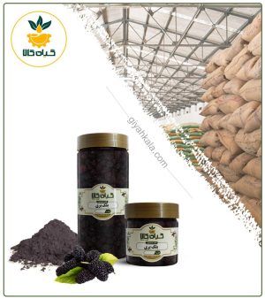 میوه بلک بری خشک یا پودری بسته بندی