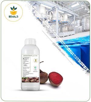 رنگ صورتی لبو بیت روت مایع (خوراکی و کاملا طبیعی)