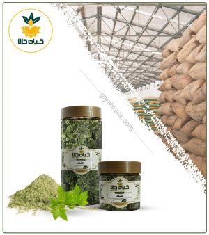 برگ عشقه خشک یا پودری بسته بندی