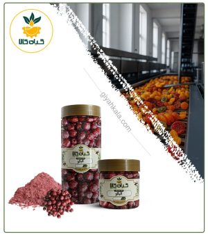 آلبالو بدون هسته منجمد بسته بندی