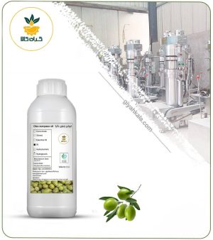 روغن زیتون بکر