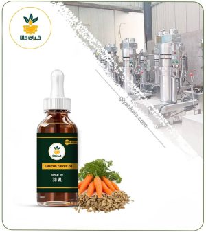 روغن دانه هویج موضعی
