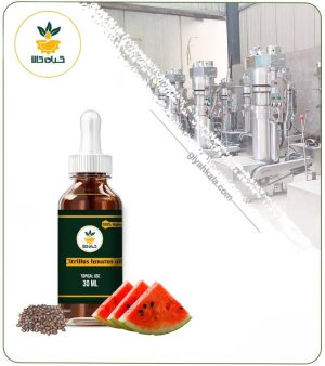 روغن دانه هندوانه موضعی