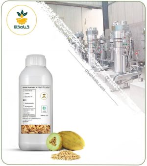 روغن دانه خربزه