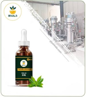 روغن چای سبز موضعی