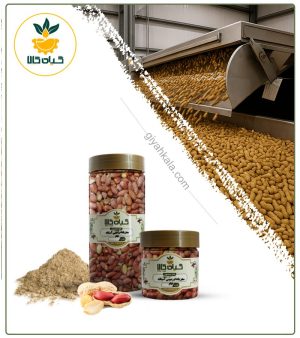 مغز بادام زمینی آستانه خام بسته بندی