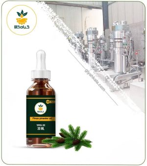 روغن کاج موضعی