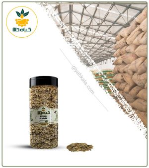 تخم شوید بسته بندی