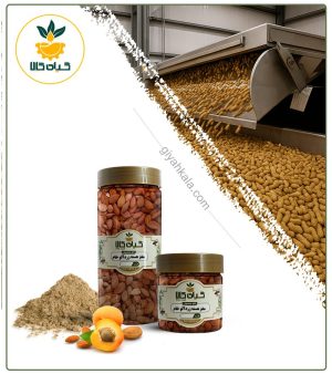 مغز هسته زردآلو خام بسته بندی
